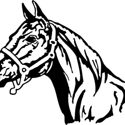 HORSE001 Thumbnail