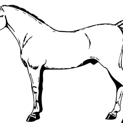 HORSE026 Thumbnail