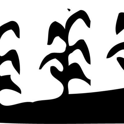 GRAIN016 Thumbnail